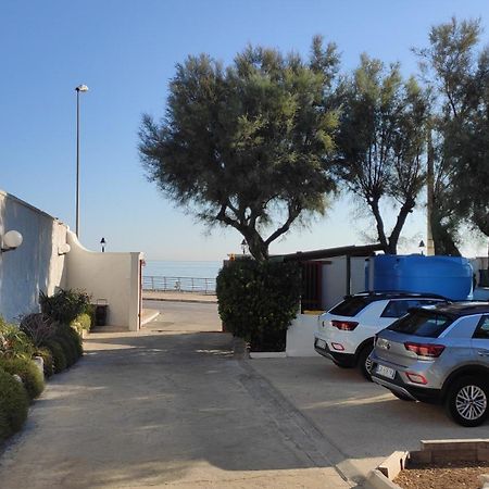 Seagull Apartments - Front And Sea View & Airport Bari Dış mekan fotoğraf